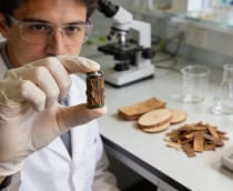 A nova bateria de madeira que promete durar muito mais e não poluir o planeta