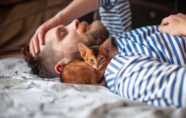 O ronronar dos gatos emite vibrações entre 20 e 140 Hz, frequência capaz de acalmar o sistema nervoso humano e auxiliar na regeneração de tecidos