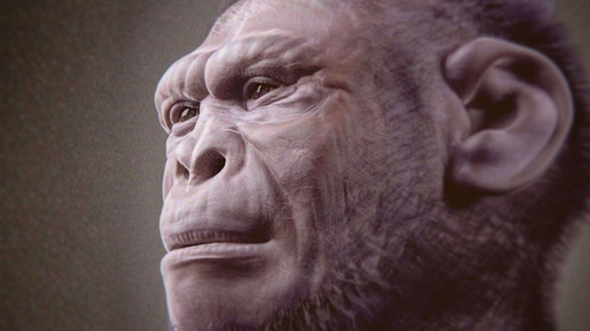 homo-habilis-1920x1080