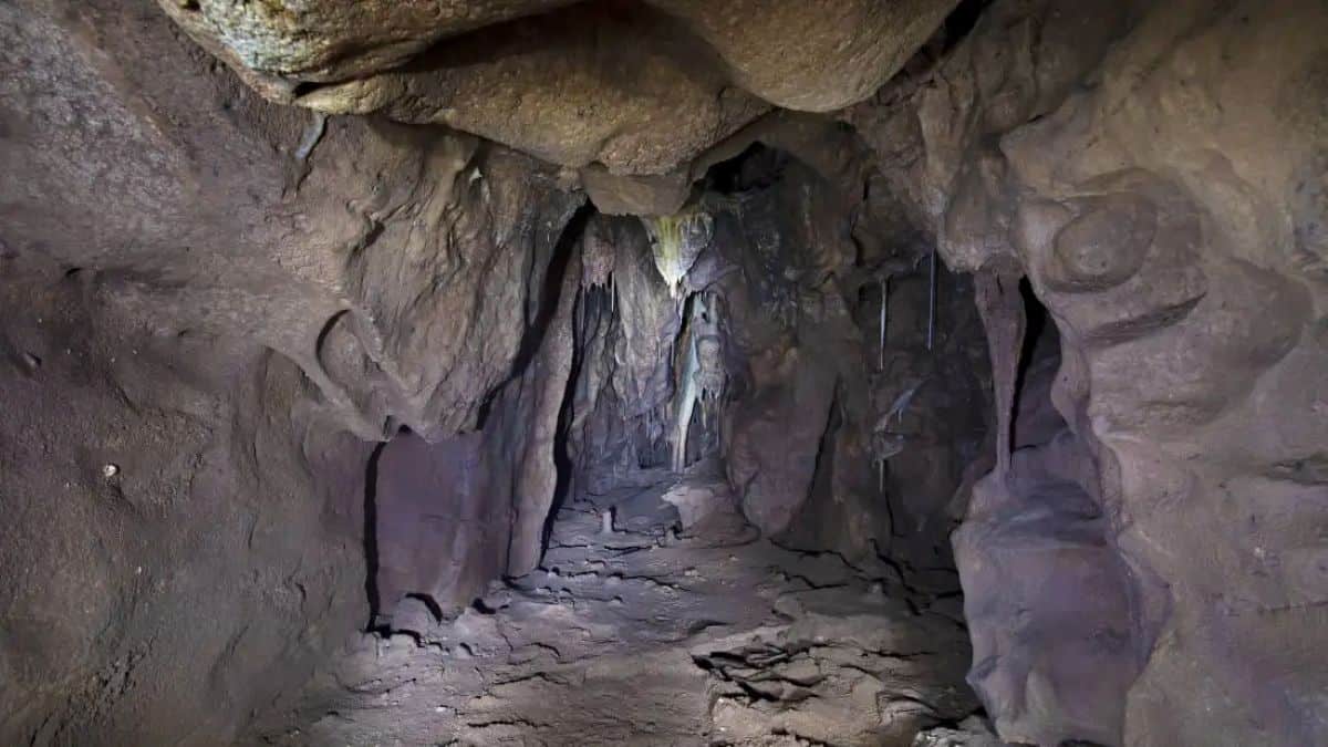 http___cdn.cnn_.com_cnnnext_dam_assets_210928115722-01-neanderthals-cave-gibraltar-scn-scli-intl