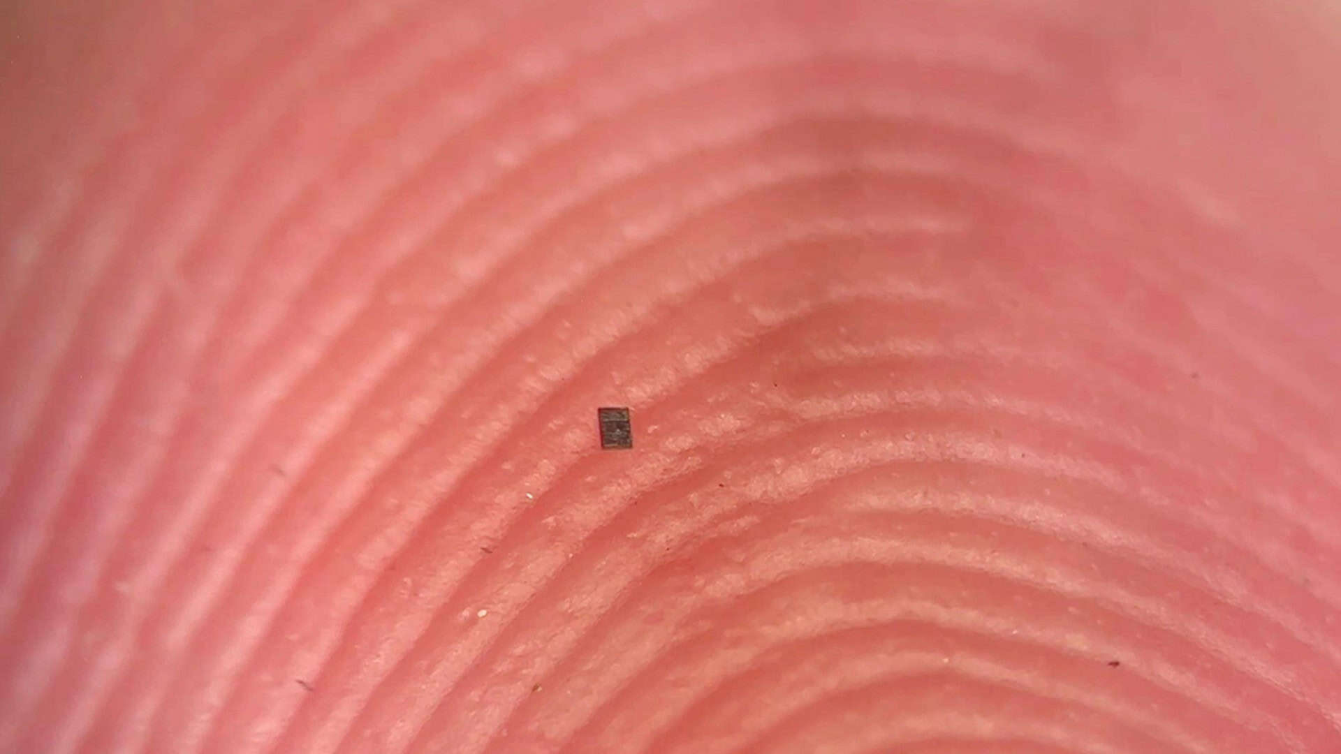 menor-robo-autonomo-do-mundo-3-1920x1080