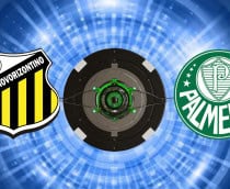 novorizontino x palmeiras