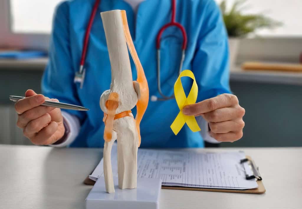 Representação de parte do osso do joelho humano