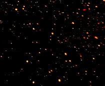 shutterstock_2687890095-210x172