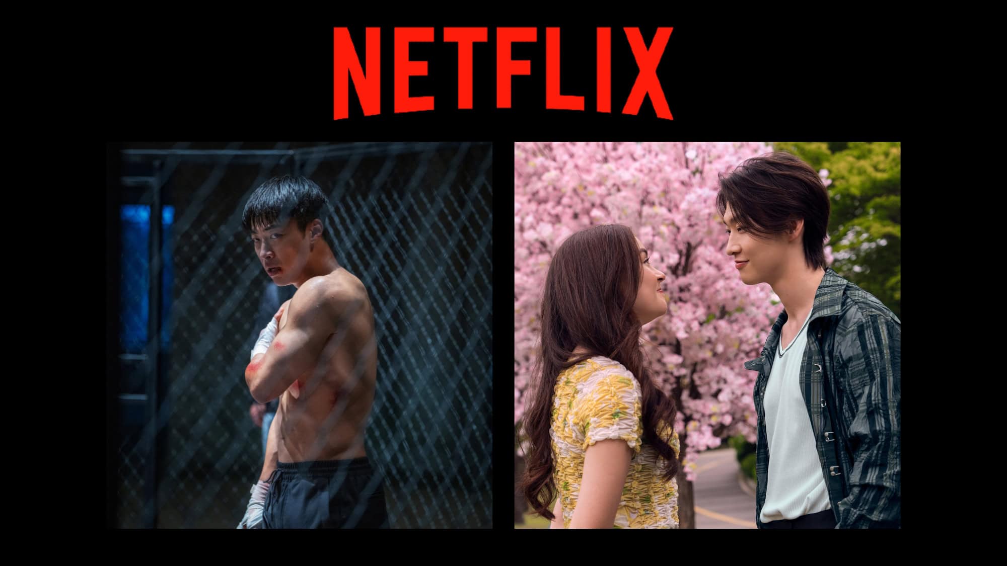 Netflix: lançamentos da semana (30 de março a 5 de abril)