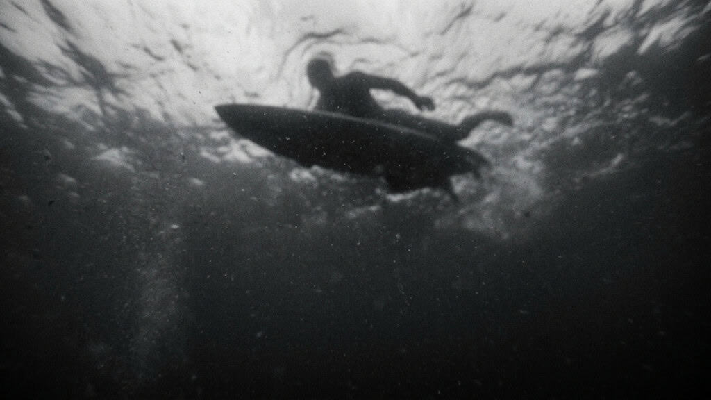 O motivo visual que faz os tubarões confundirem surfistas com presas