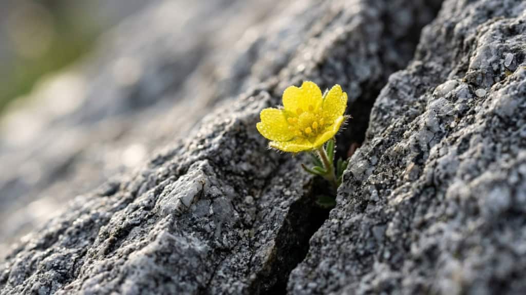 Friedrich Nietzsche, filósofo: “Aquele que tem um porquê para viver pode suportar quase qualquer como.”