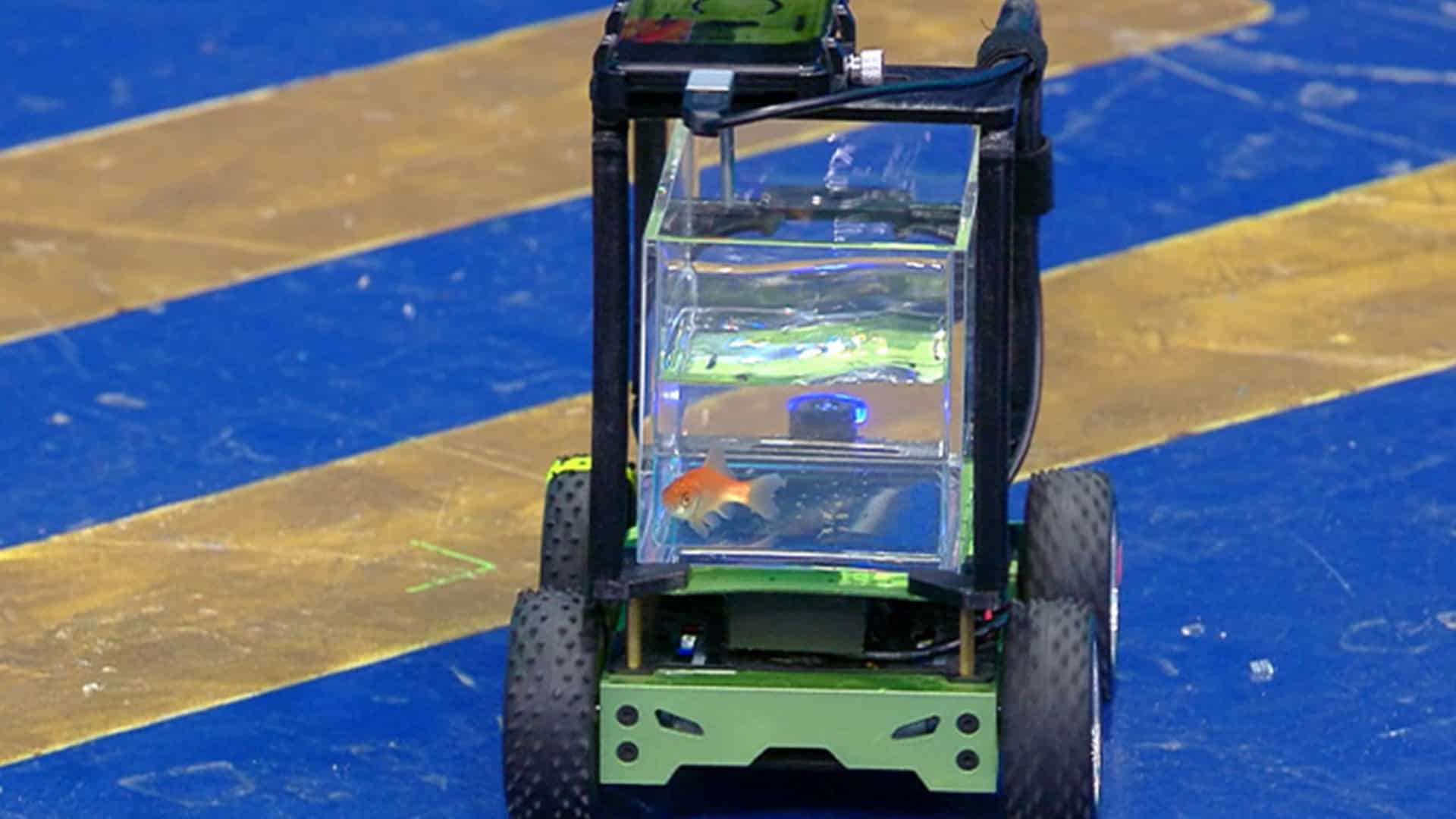 blub-driving-car-reverse-kids-1920x1080