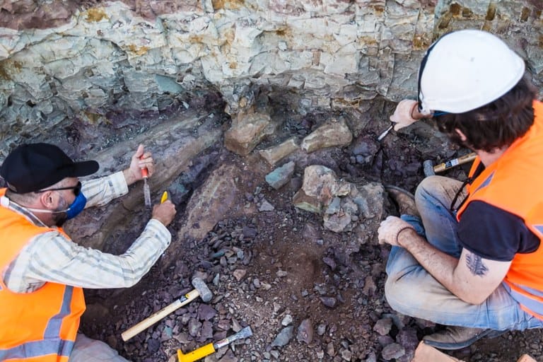 Sítio arqueológico onde o dinossauro gigante foi encontrado
