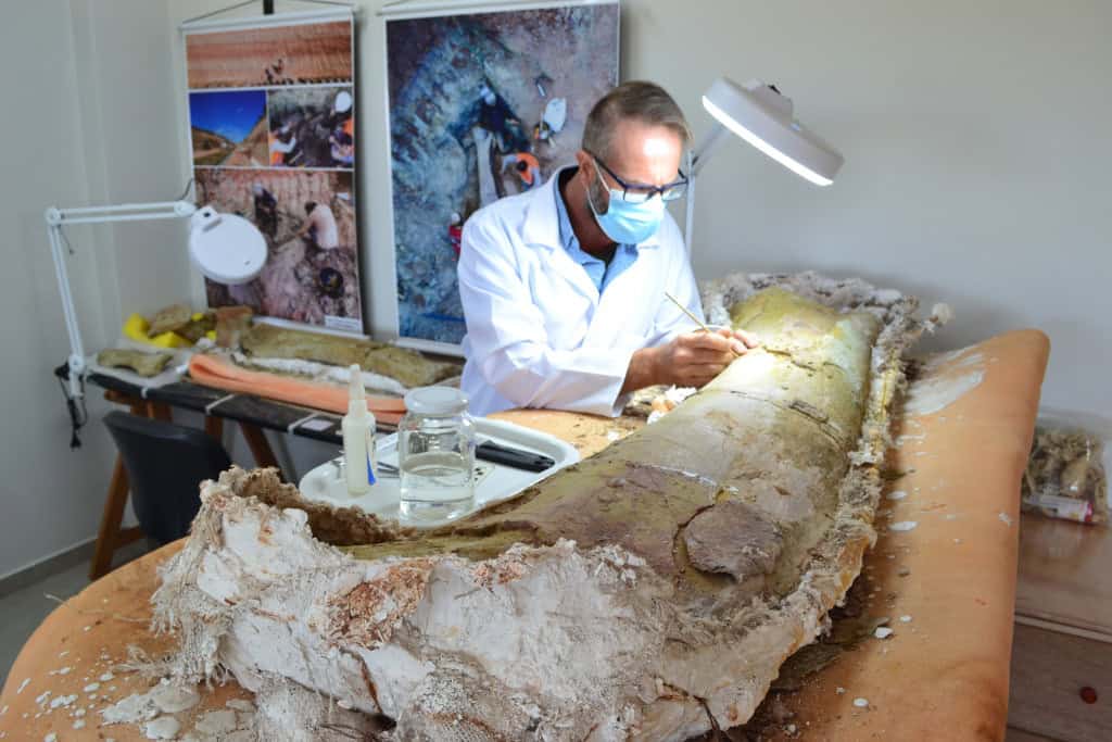 Fêmur do dinossauro sendo estudado