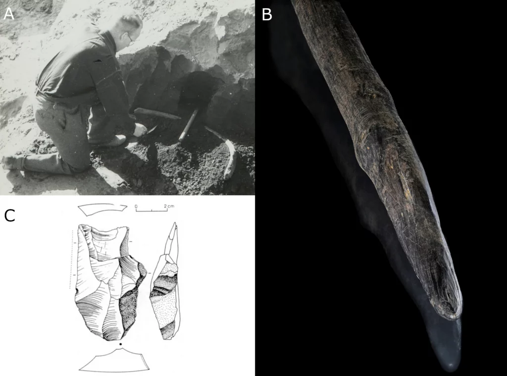 estudo neandertais caçadores elefantes