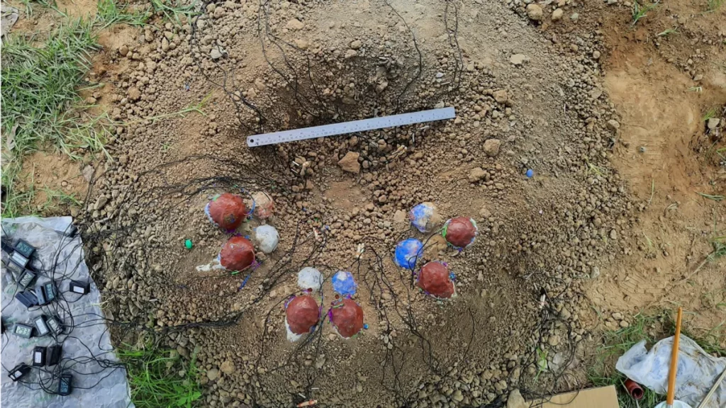 Como este dinossauro chocava ovos sem quebrá-los? Cientistas recriam “incubadora” pré-histórica