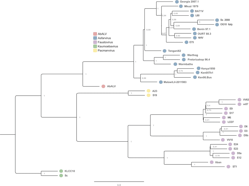 Árvore filogenética que mostra as diferentes famílias de vírus gigantes