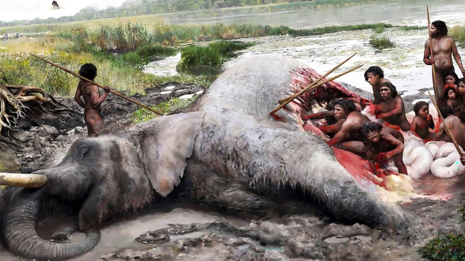 eleantes gigantes neanertais caçadores