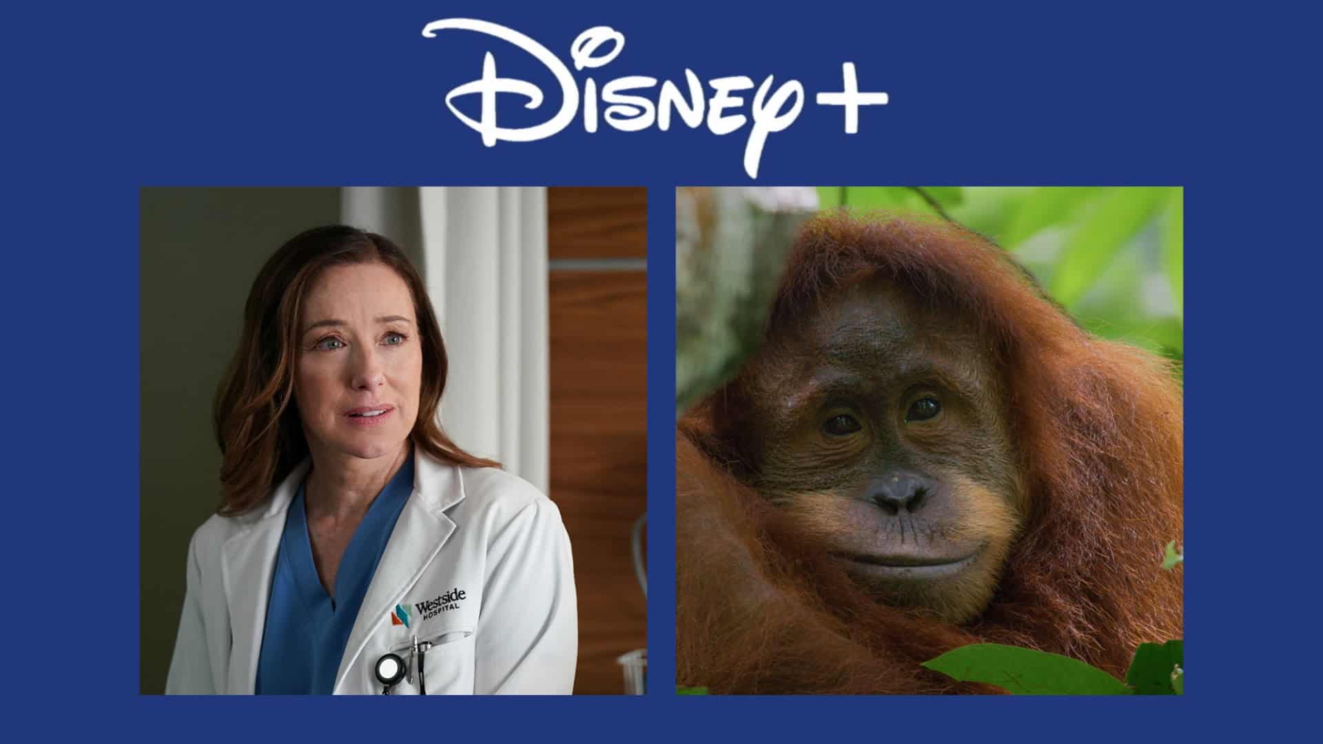 imagens de filmes que estreiam no disney+