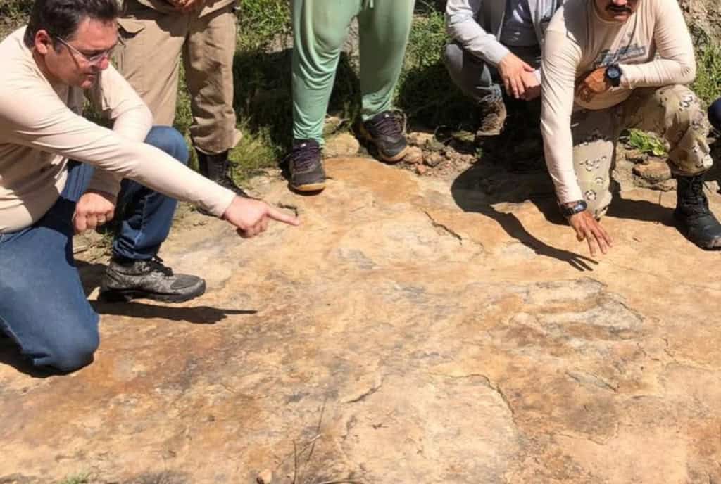 Pegada de dinossauro 