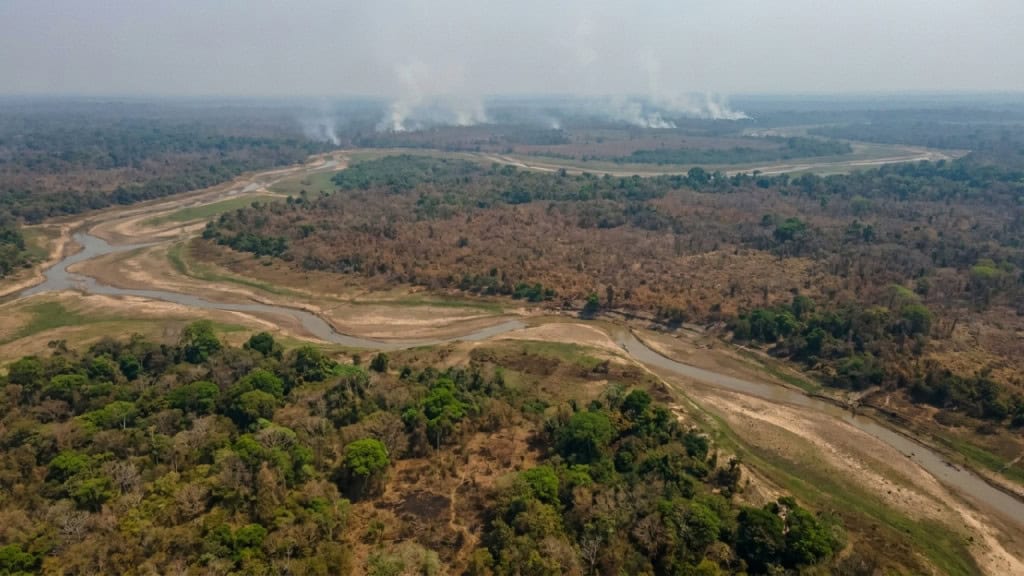 Enquanto o Ártico derrete, a Amazônia seca: e os dois fenômenos estão conectados por um fio invisível que os brasileiros ainda não perceberam
