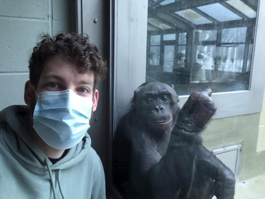 Bonobo Kanzi com Christopher Krupenye, cientista cognitivo da Universidade Johns Hopkins
