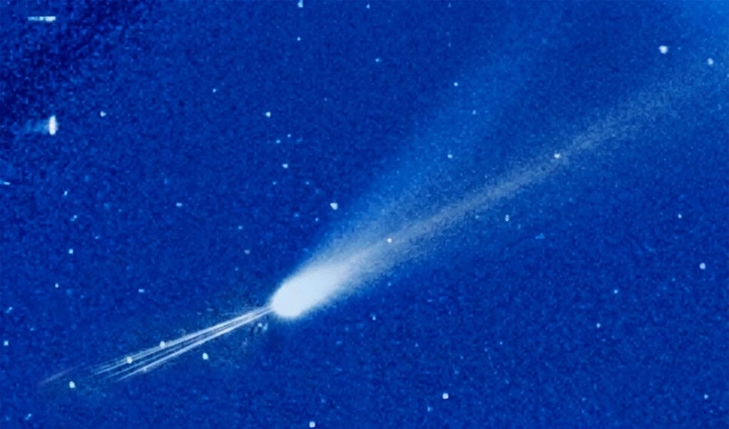 cometa anticauda