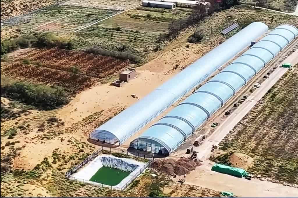 Estação Experimental do Deserto de Shapotou, na região autônoma de Ningxia Hui, no noroeste da China