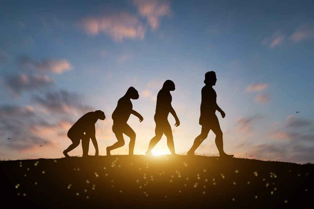 Silhuetas de vários humanos evoluindo com o passar do tempo
