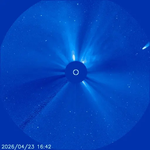 cometa anticauda