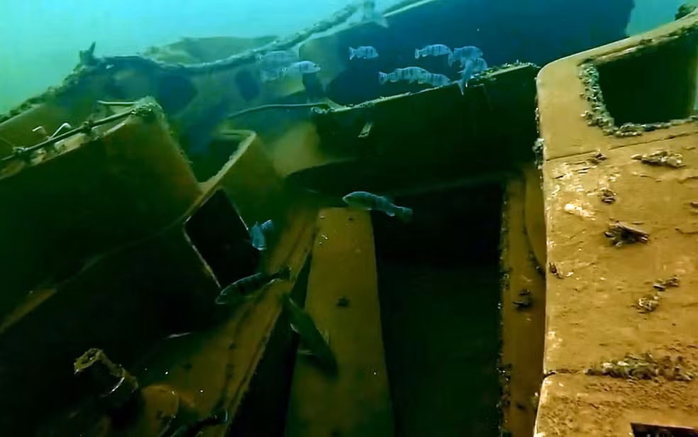 Peixes ao redor de uma construção submersa