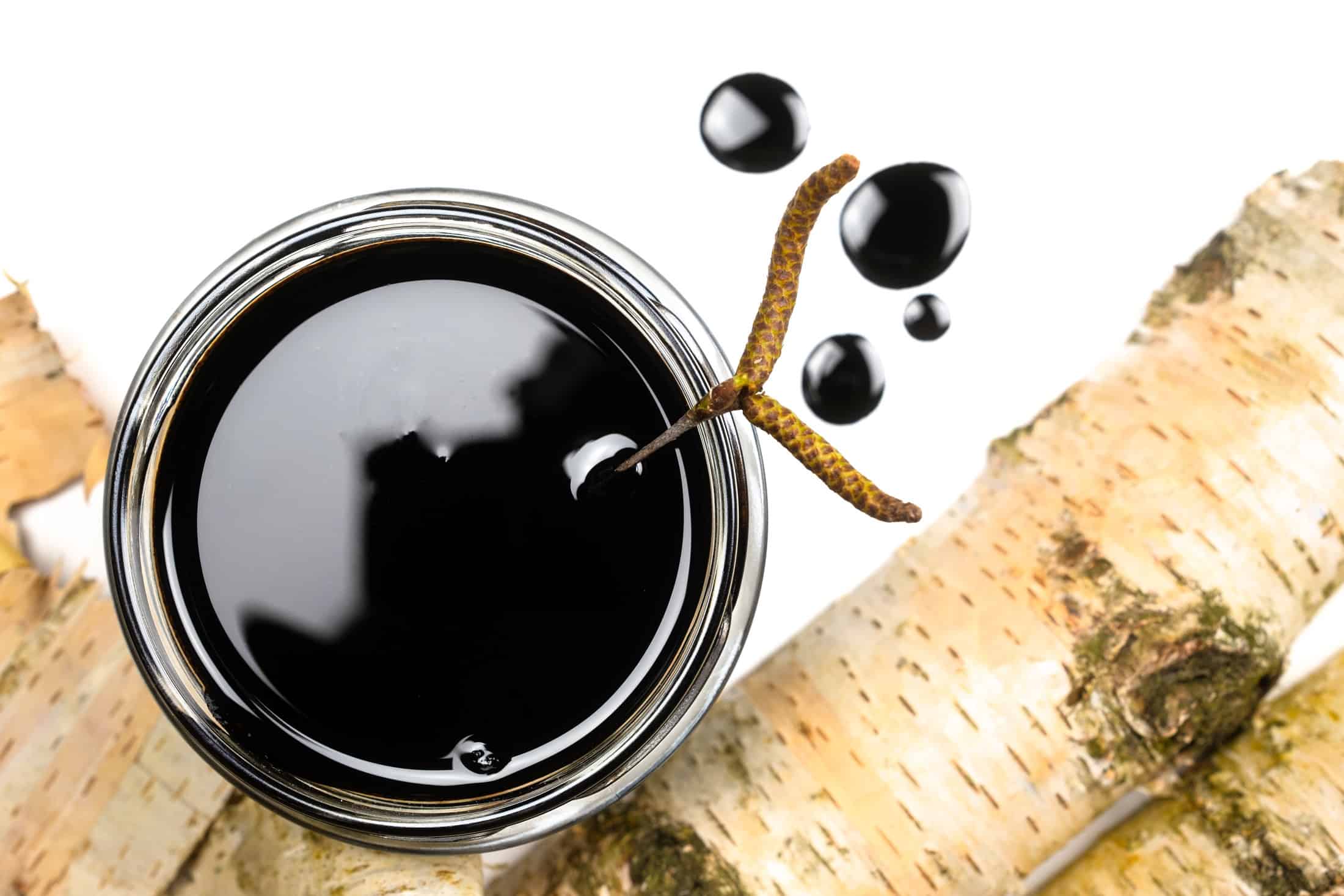 Neandertais podem ter usado “cola” como antibiótico natural, sugere estudo