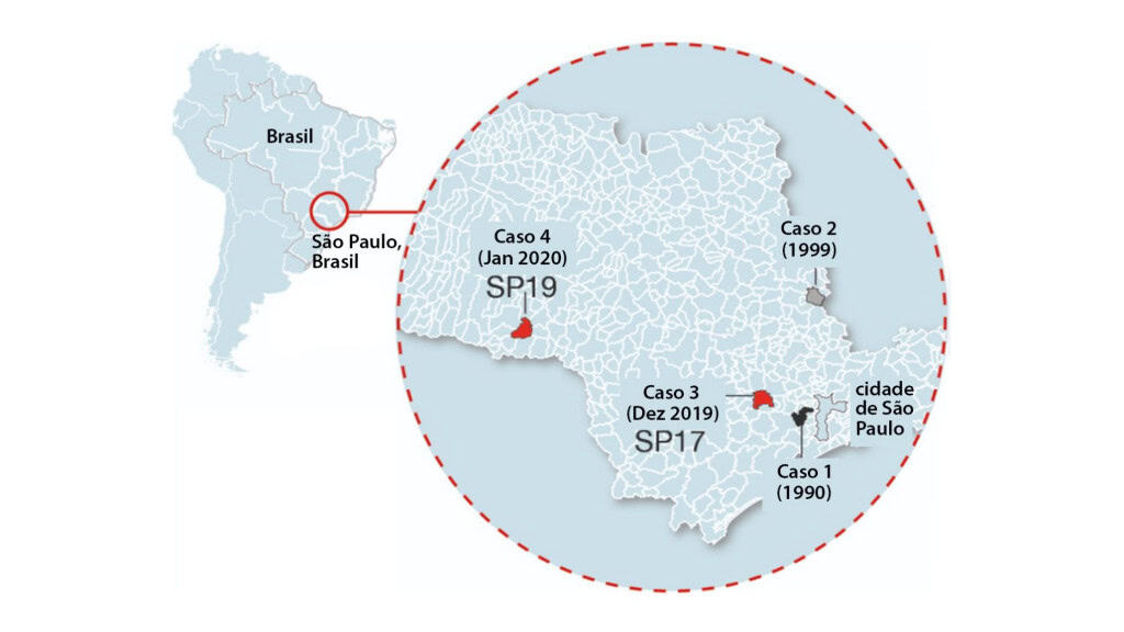 Infográfico mostrando casos de vírus sabiá no mapa do estado de São Paulo e do Brasil