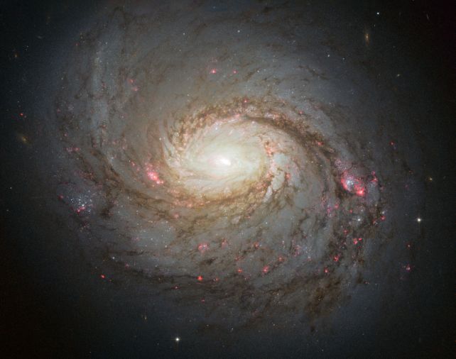 Imagem de M77