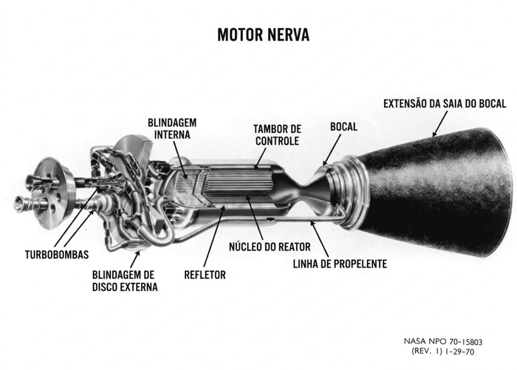 motor nerva