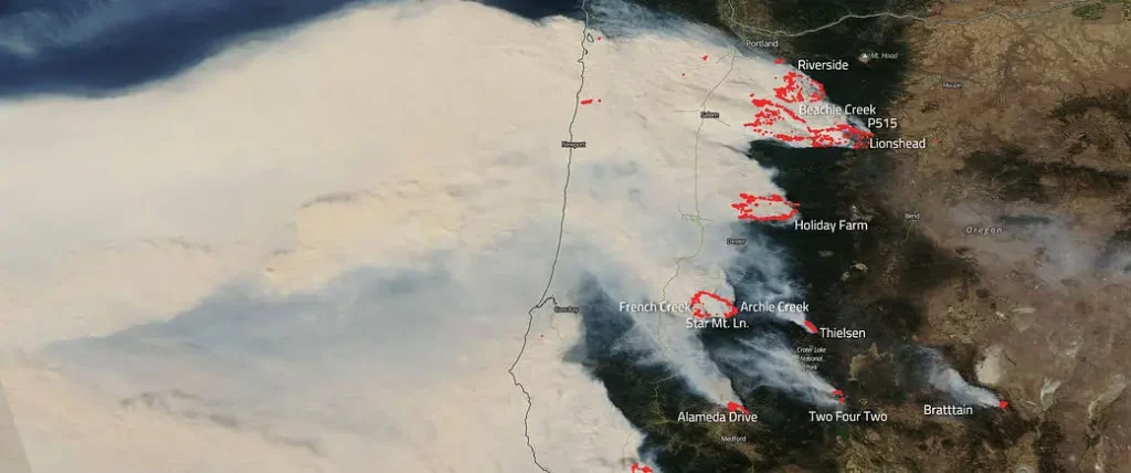 incêndios florestais