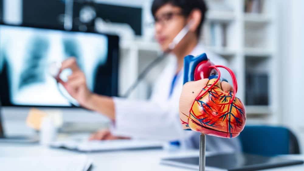 Representação aritificial de coração humano e médico com computador ao fundo
