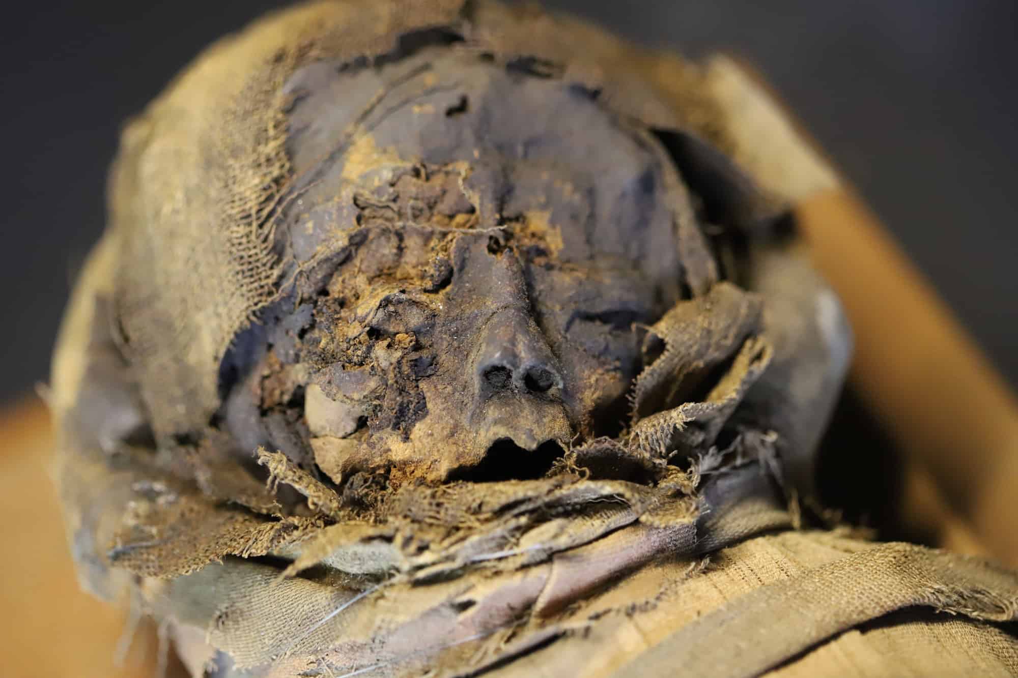 Texto de Homero é encontrado em múmia de 1.600 anos no Egito