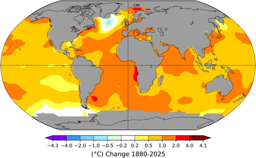 amoc corrente oceânica