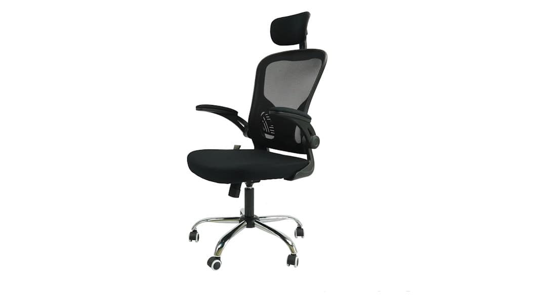 Cadeira Ergonômica Eurynom
