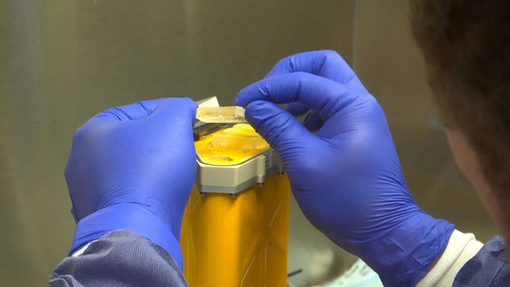 chips avatar