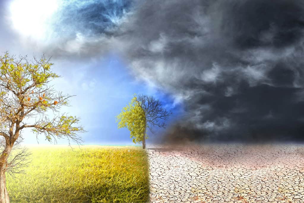 Impacto do El Niño