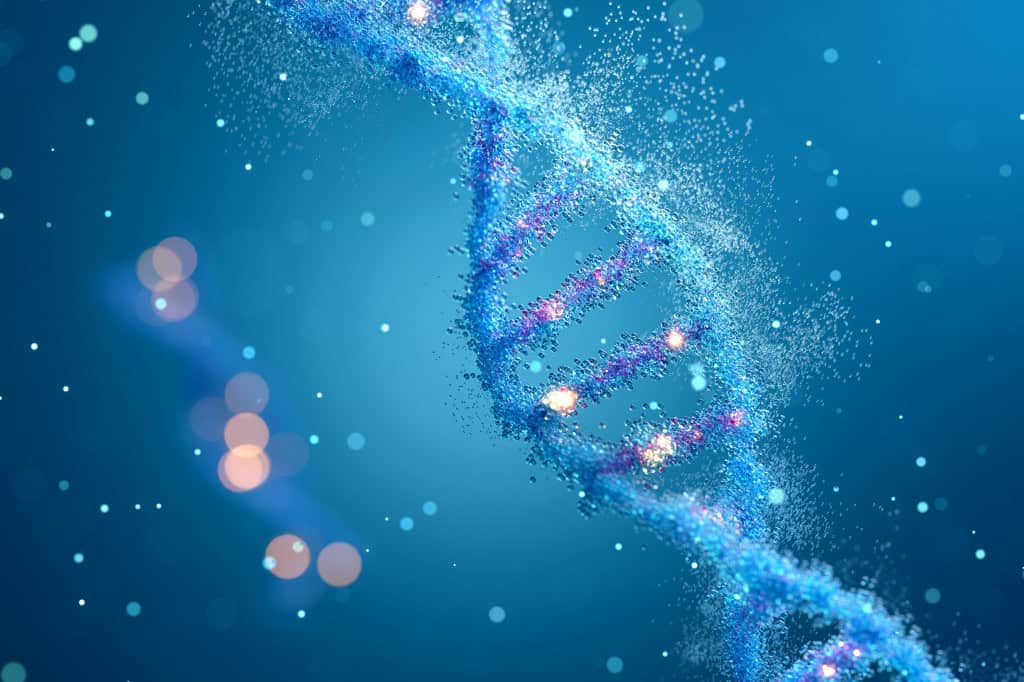 Representação do DNA