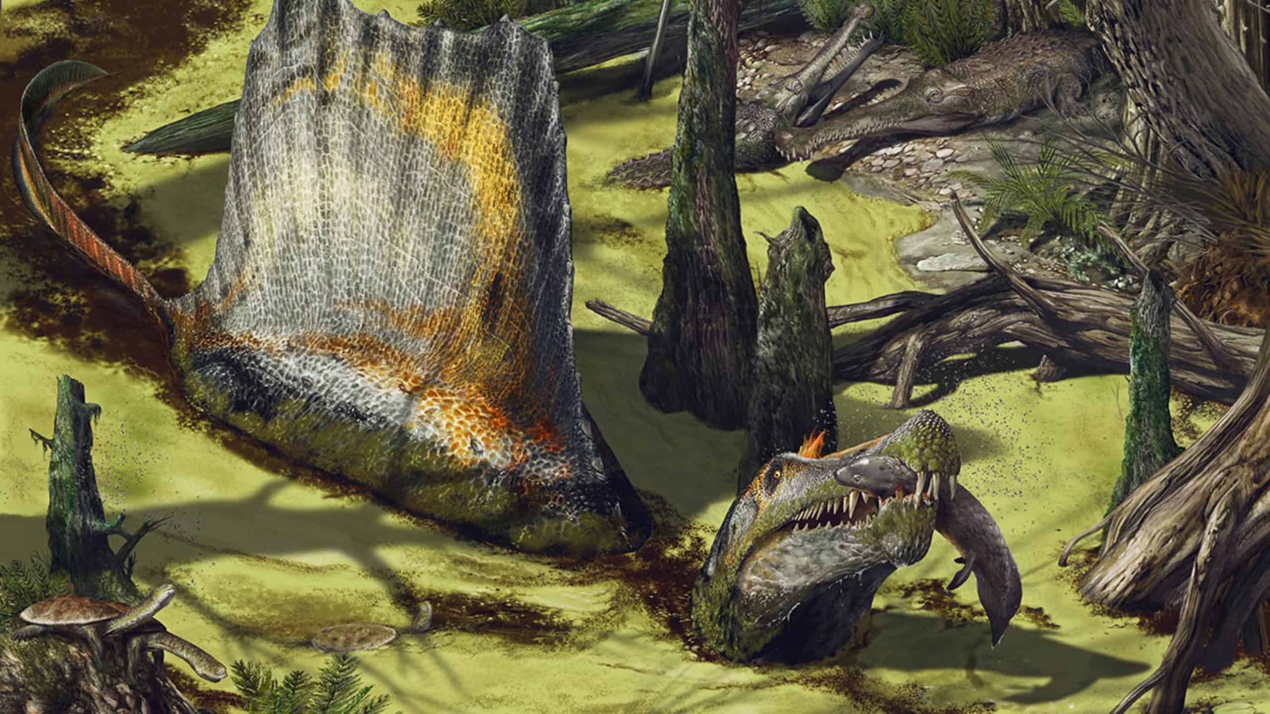 Espinossauro pode ter tido adaptação fisiológica inédita entre dinossauros, sugere estudo