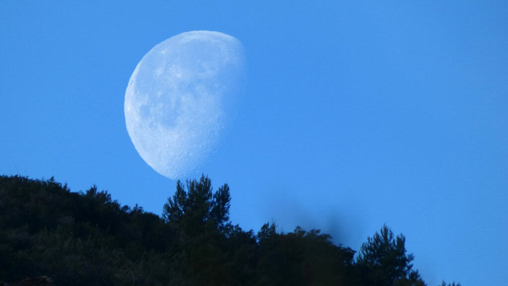 lua