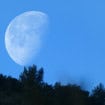 lua