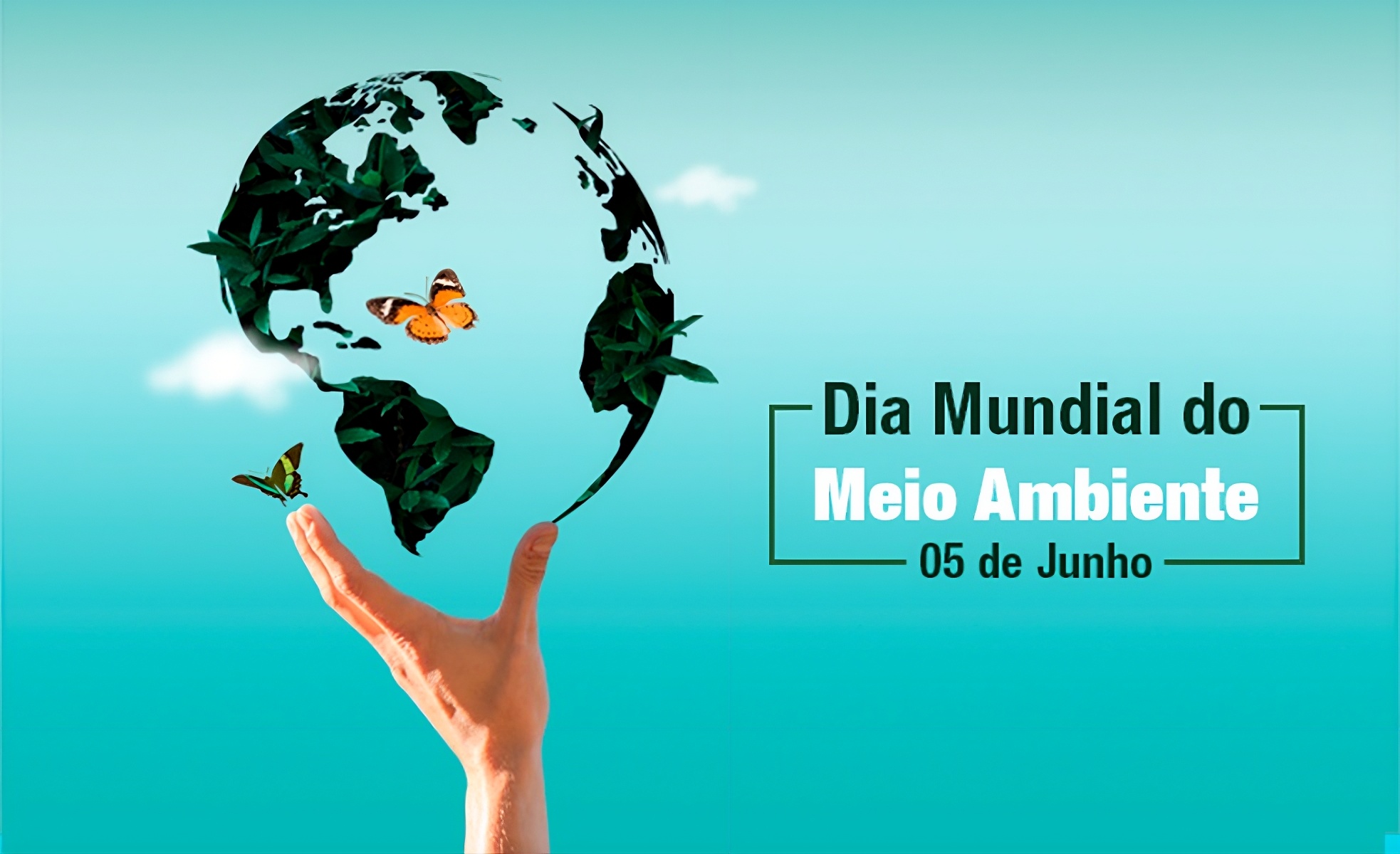 meio ambiente