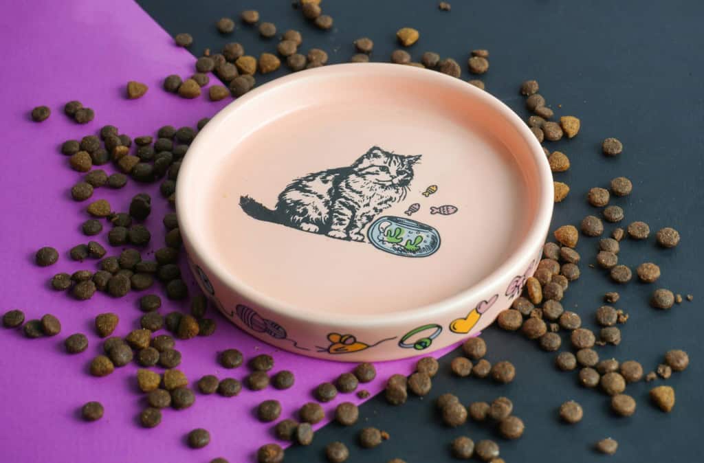 Ração de gato