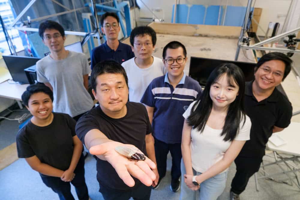 O professor Hirotaka Sato, da NTU (segundo a partir da esquerda), pioneiro na tecnologia de insetos ciborgues, segurando uma barata-bufadora-de-Madagascar ciborgue equipada com o novo traje de mergulho