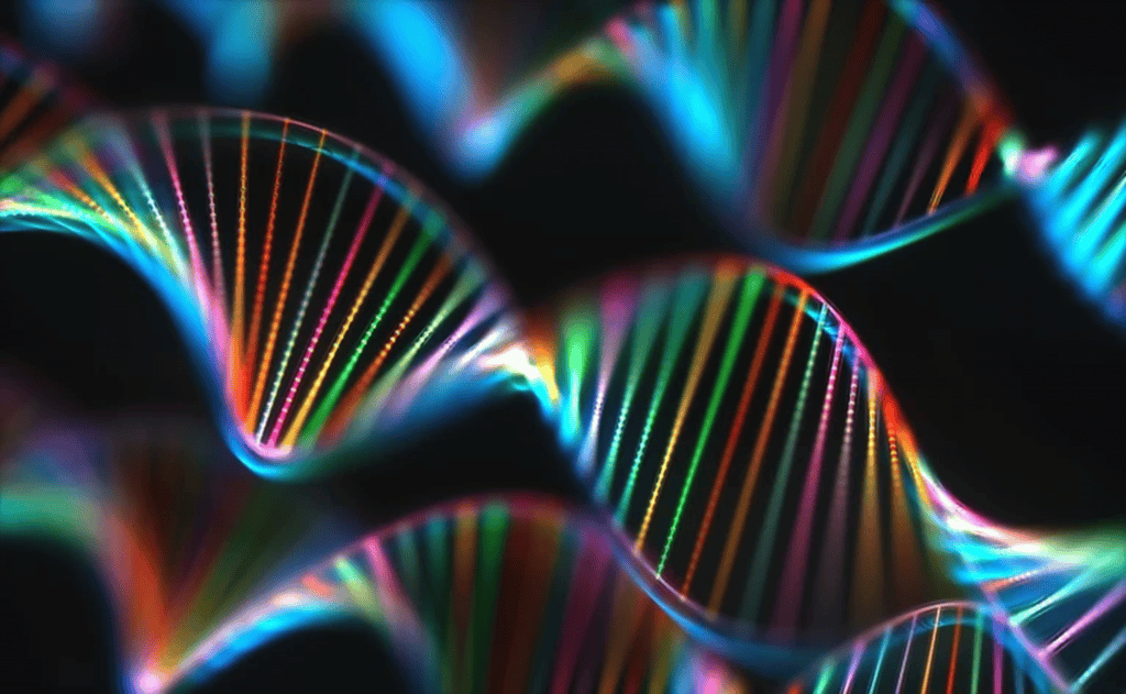 Enzima bacteriana que destrói o DNA indiscriminadamente