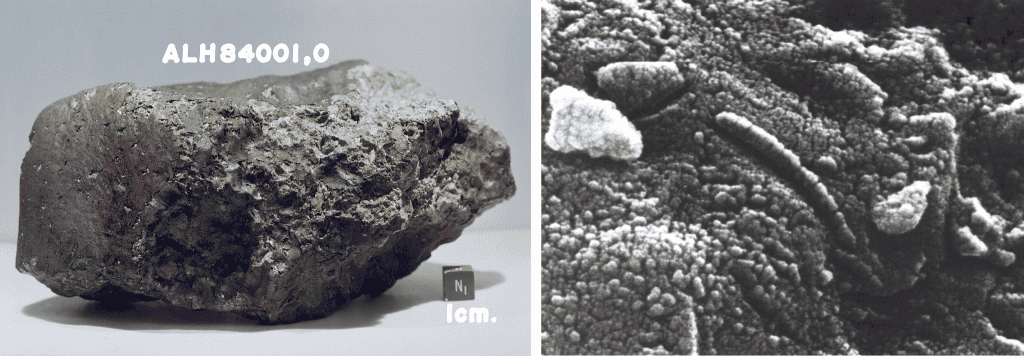 meteorito ALH 84001