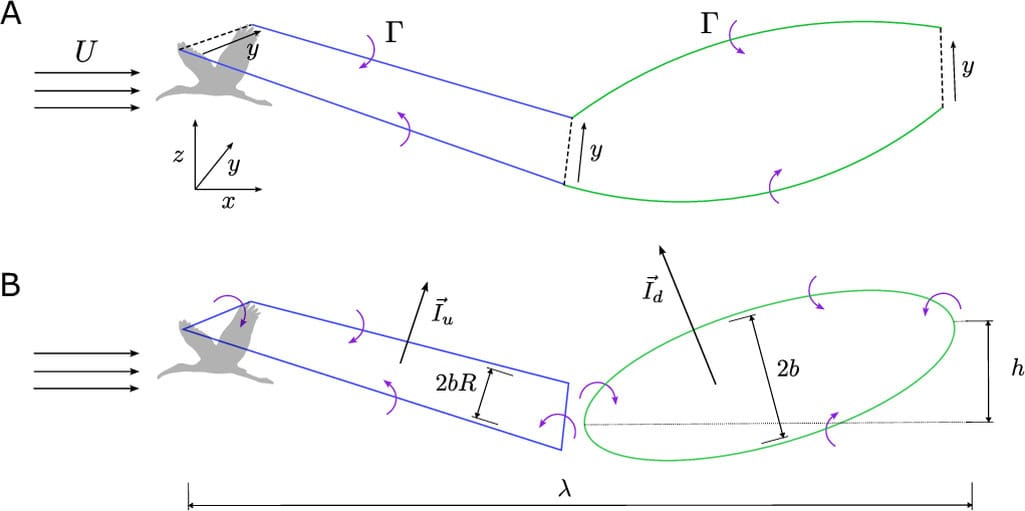 Parte dos cálculos matemáticos realizados pelos cientistas