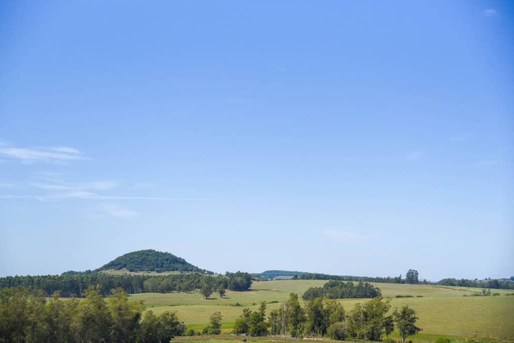 Vasta paisagem do bioma Pampa no Brasil, com pastagens abertas, colinas suaves, vegetação nativa e uma atmosfera rural serena
