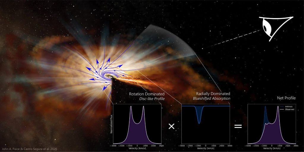Ilustração de um buraco negro cercado por um disco de gás, com setas indicando a ejeção de matéria e gráficos que mostram os perfis espectrais produzidos por esse fluxo.